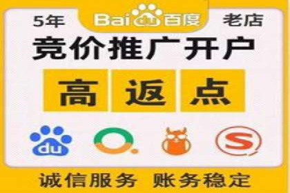 行业标杆的SEM竞价营销案例研究